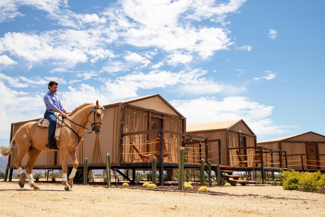 Indomito Resort & Hotel Boutique Valle de Guadalupe Zewnętrze zdjęcie